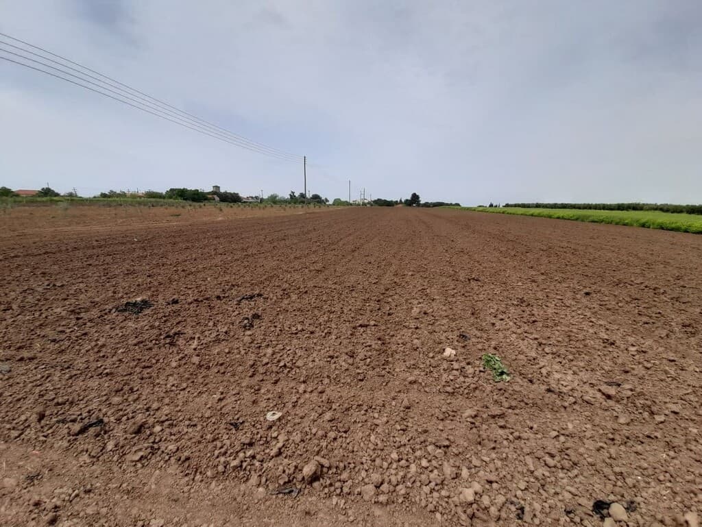 For Sale Land 8628 m² in Chalkidiki