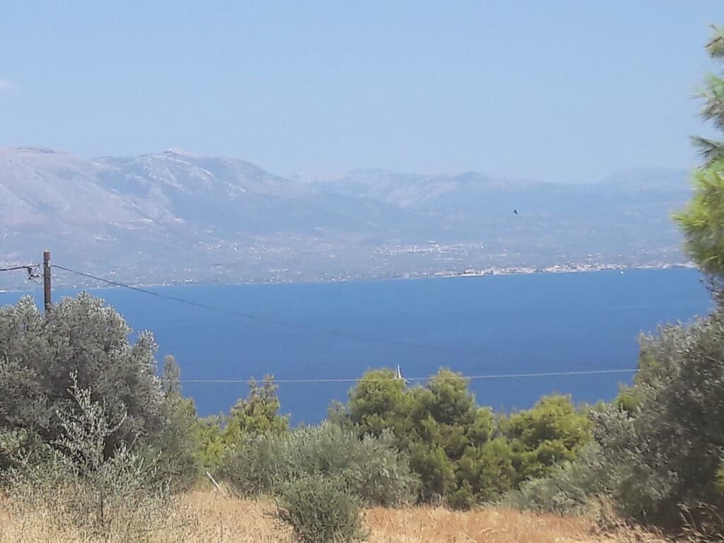 For Sale Land 8076 m² in Attica