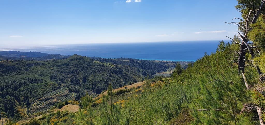 For Sale Land 12000 m² in Kassandra, Chalkidiki