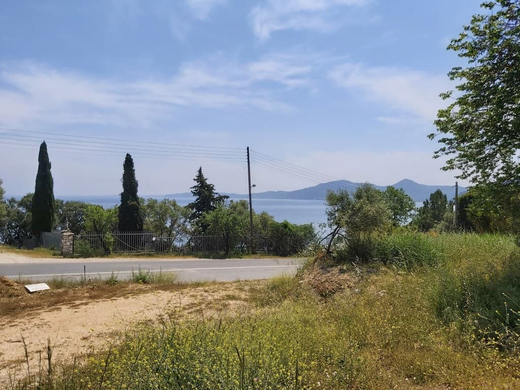 For Sale Land 6000 m² in Corfu