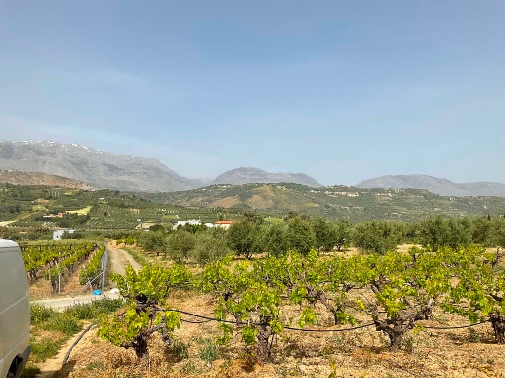 For Sale Land 3000 m² in Crete