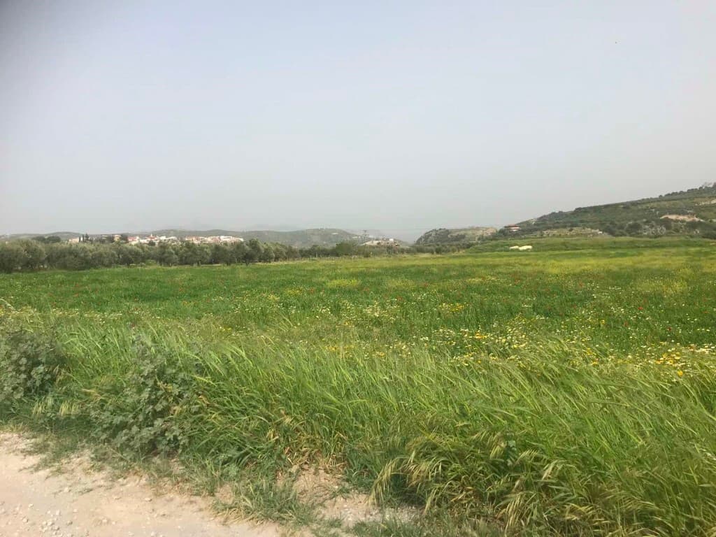 For Sale Land 1800 m² in Crete