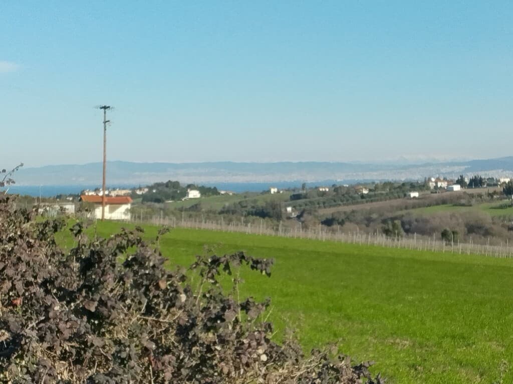 For Sale Land 5800 m² in the suburbs of Thessaloniki