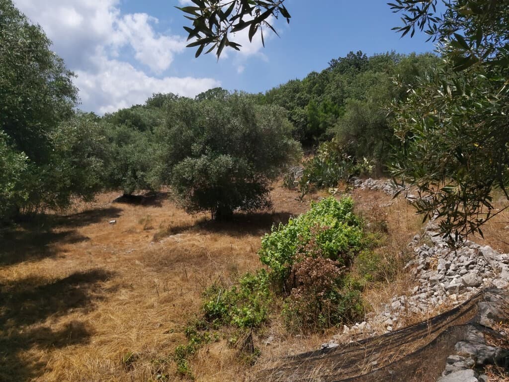 For Sale Land 4400 m² in Corfu