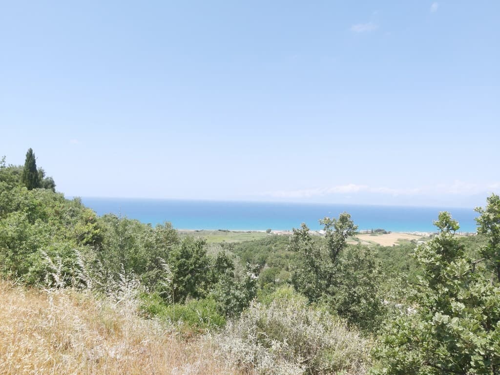 For Sale Land 7200 m² in Corfu