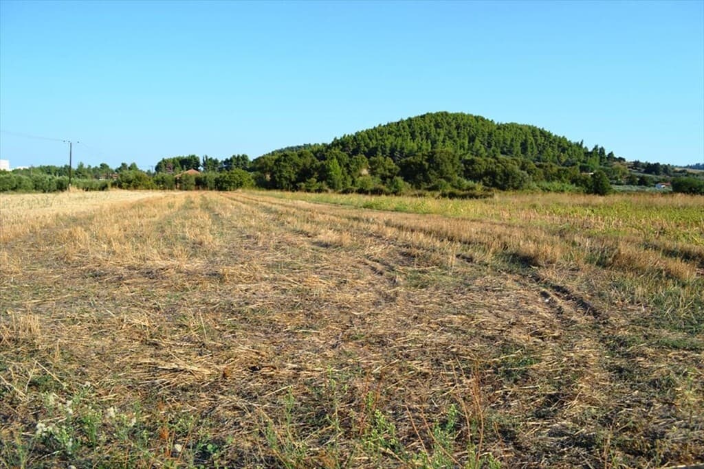 For Sale Land 8250 m² in Kassandra, Chalkidiki