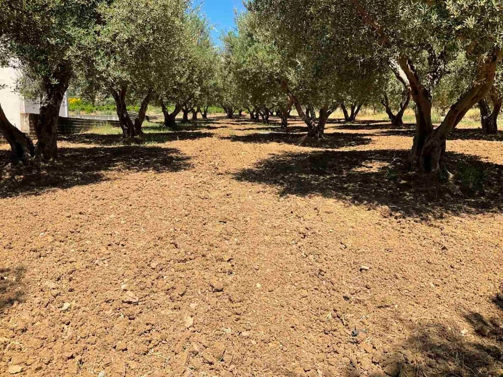 For Sale Land 1800 m² in Crete
