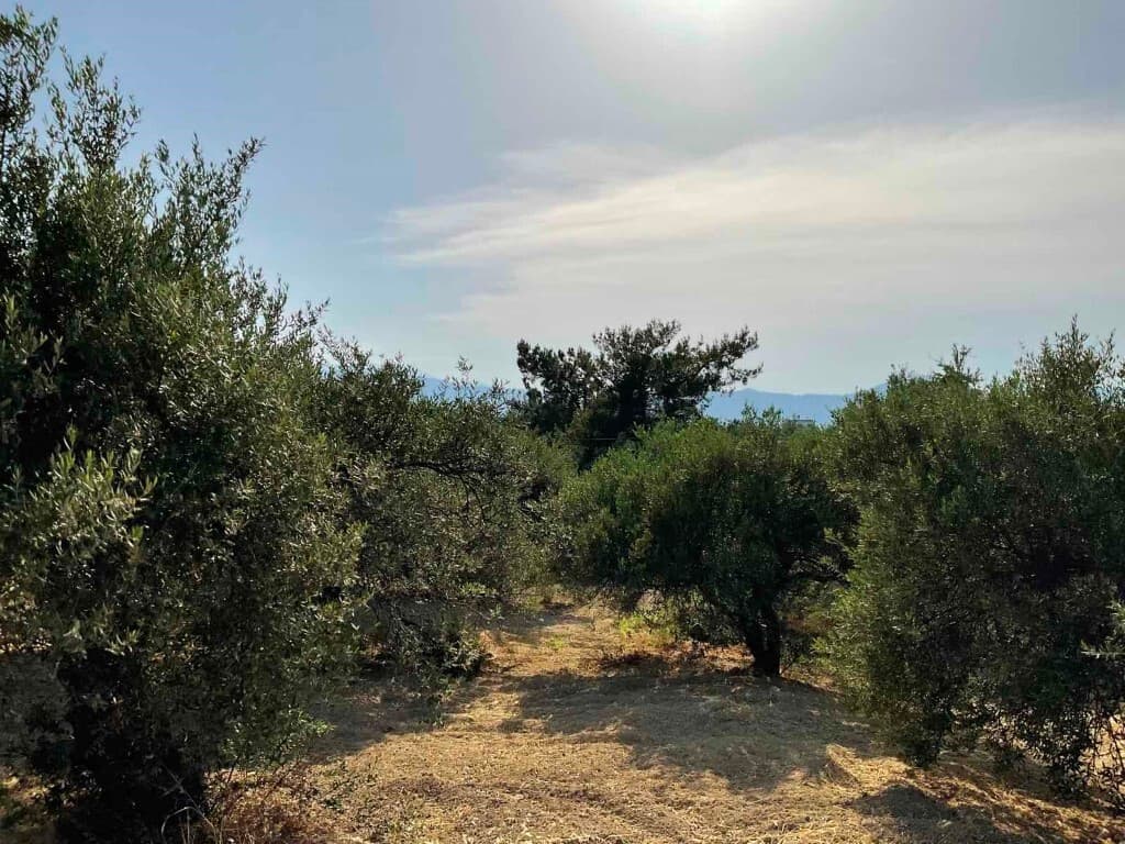 For Sale Land 1358 m² in Crete
