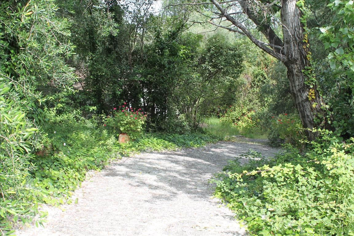 For Sale Land 22000 m² in Corfu