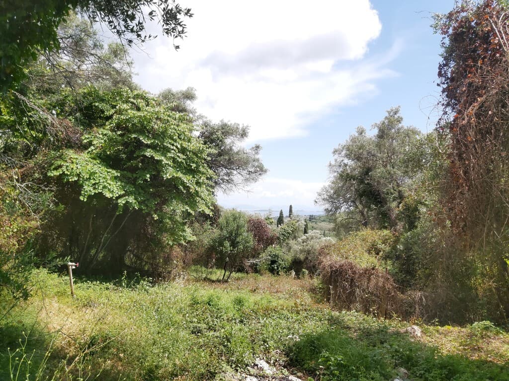 For Sale Land 700 m² in Corfu