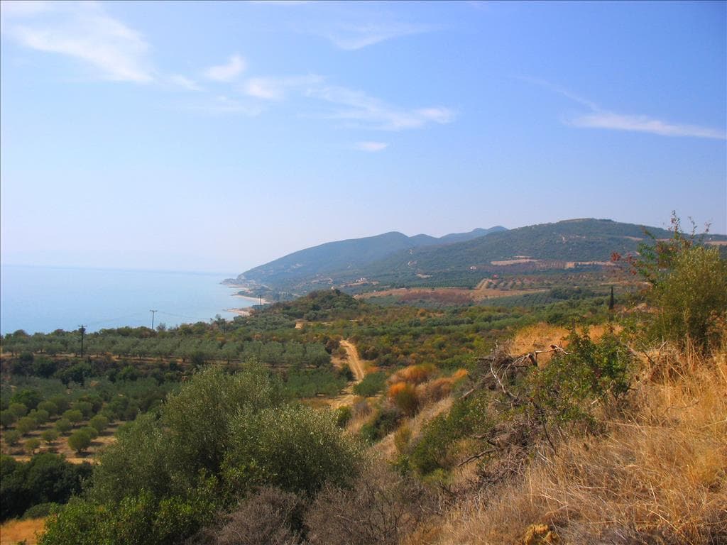 For Sale Land 5650 m² in Kavala suburbs