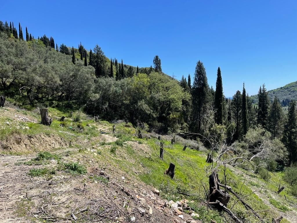 For Sale Land 8500 m² in Corfu