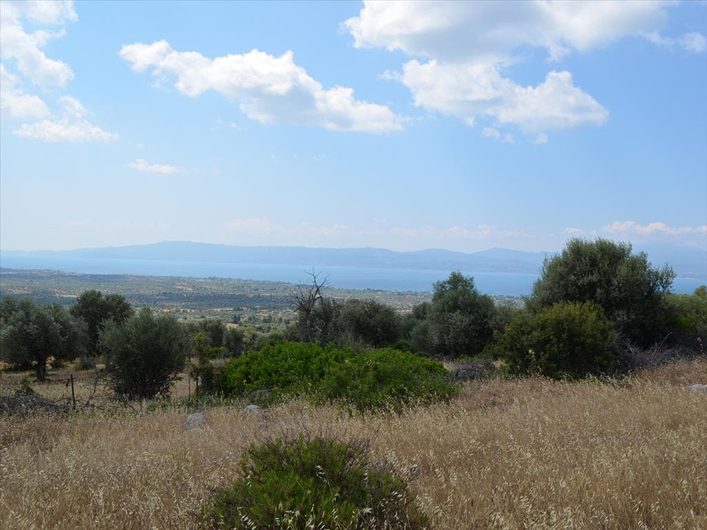 For Sale Land 45000 m² on the Euboea island