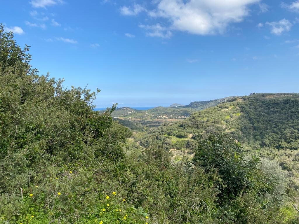 For Sale Land 9000 m² in Crete