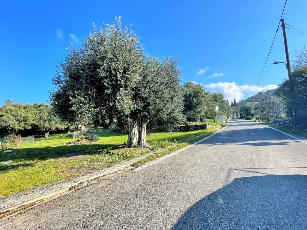 For Sale Land 2206 m² in Corfu