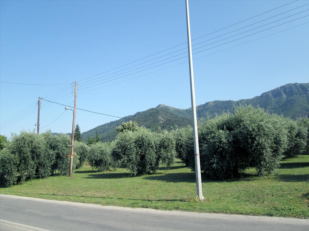 For Sale Land 1137 m² on the island of Thassos