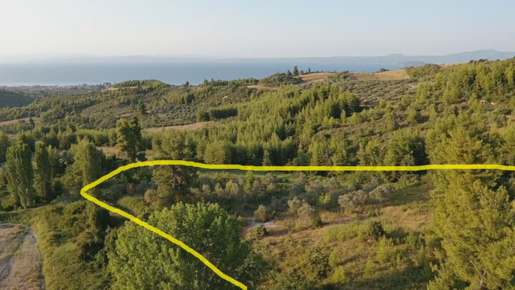 For Sale Land 11046 m² in Kassandra, Chalkidiki