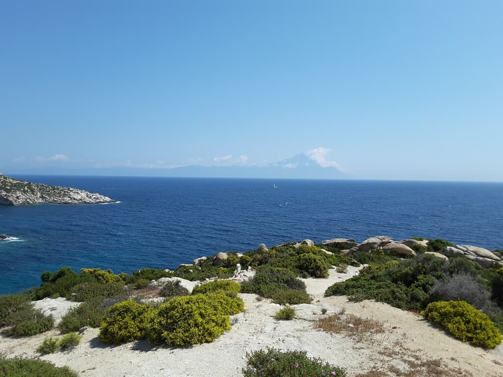 For Sale Land 500 m² in Kriaritsi