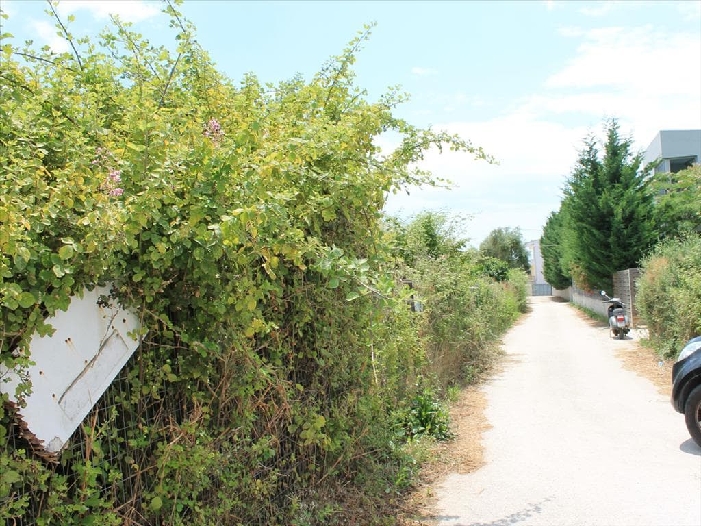 For Sale Land 1200 m² in Western Peloponnese