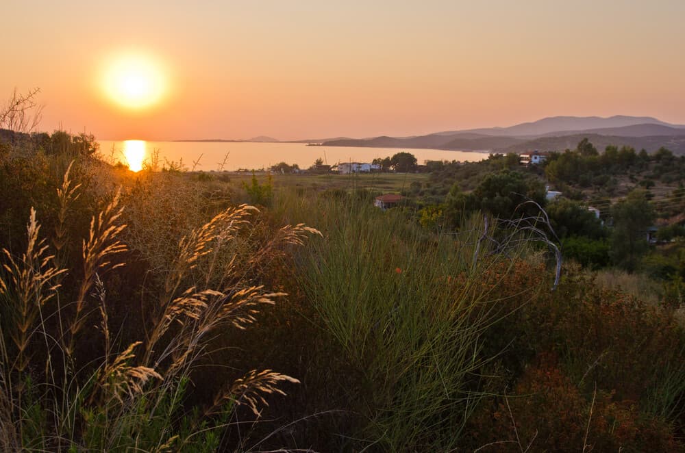 For Sale Land 223 m² in Sithonia, Chalkidiki