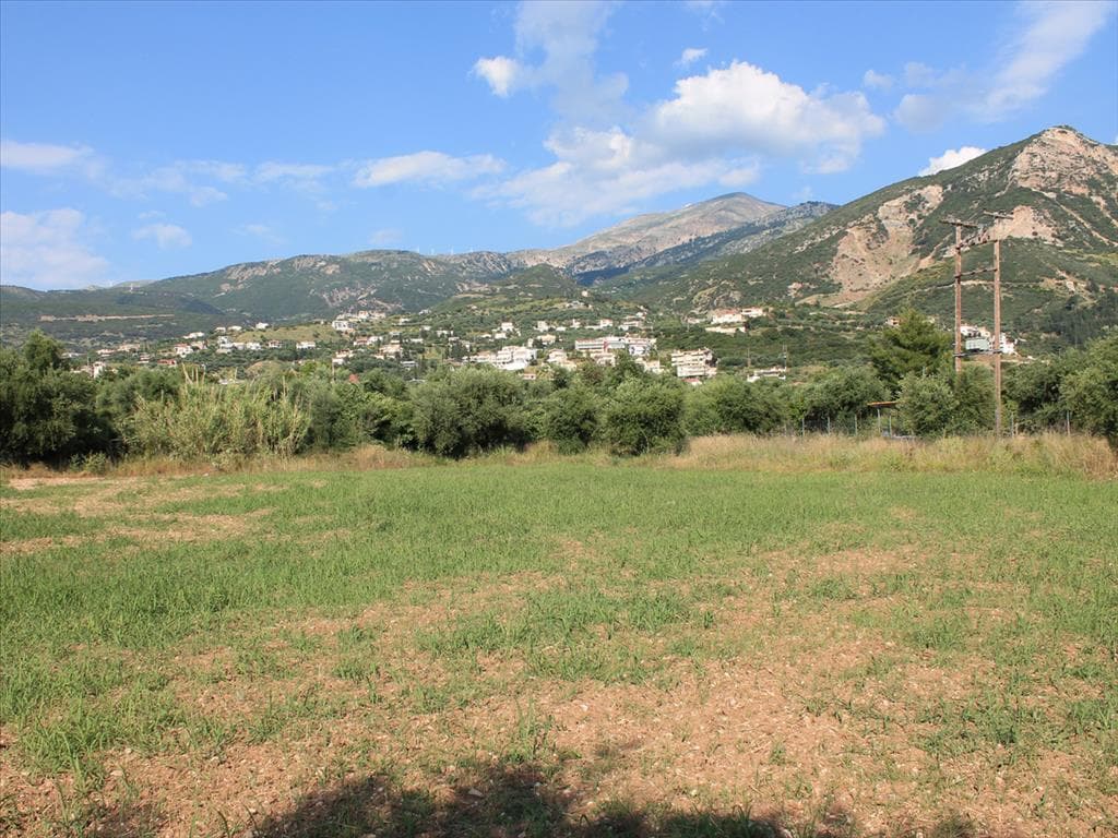 For Sale Land 5800 m² in Western Peloponnese