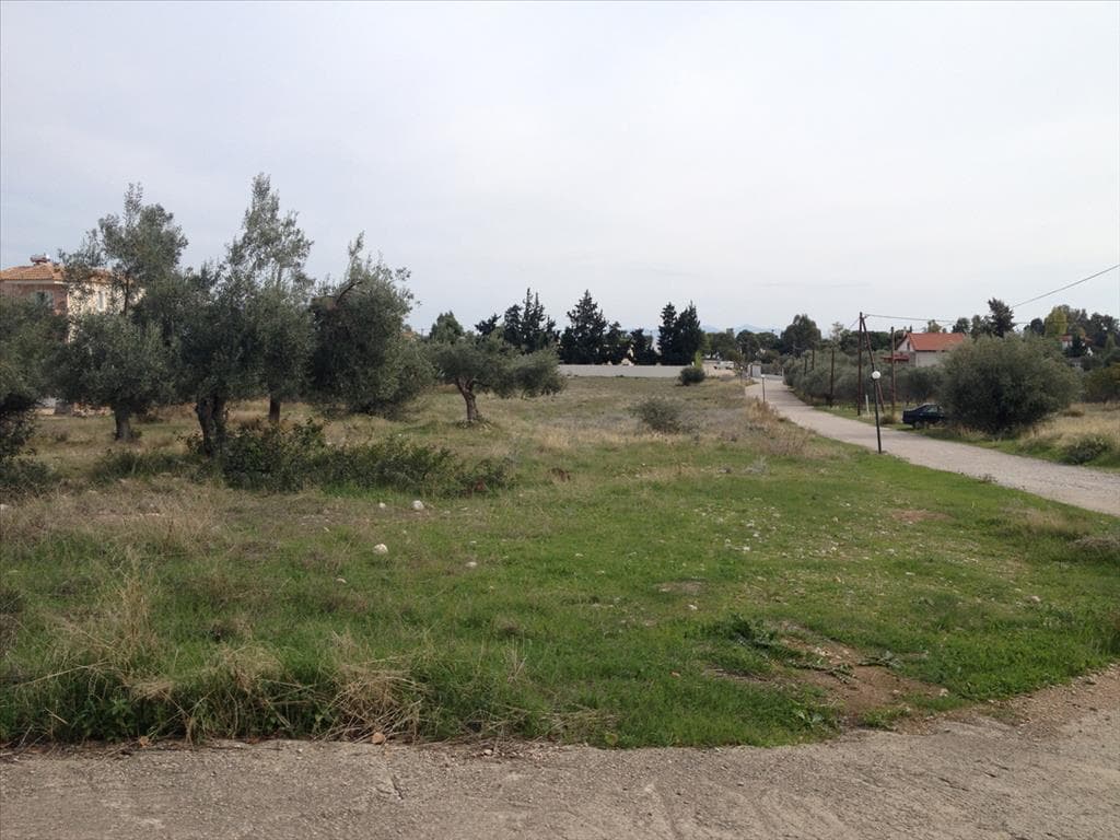 For Sale Land 7069 m² in Eastern Peloponnese
