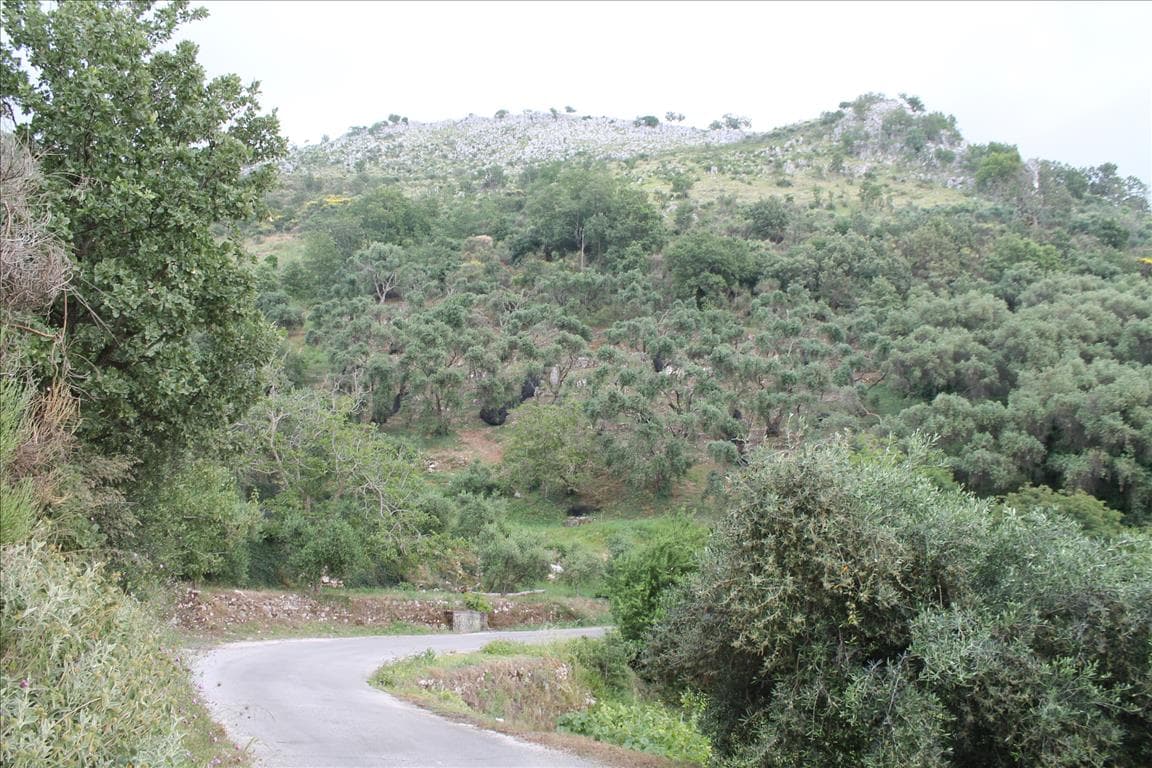 For Sale Land 7000 m² in Corfu