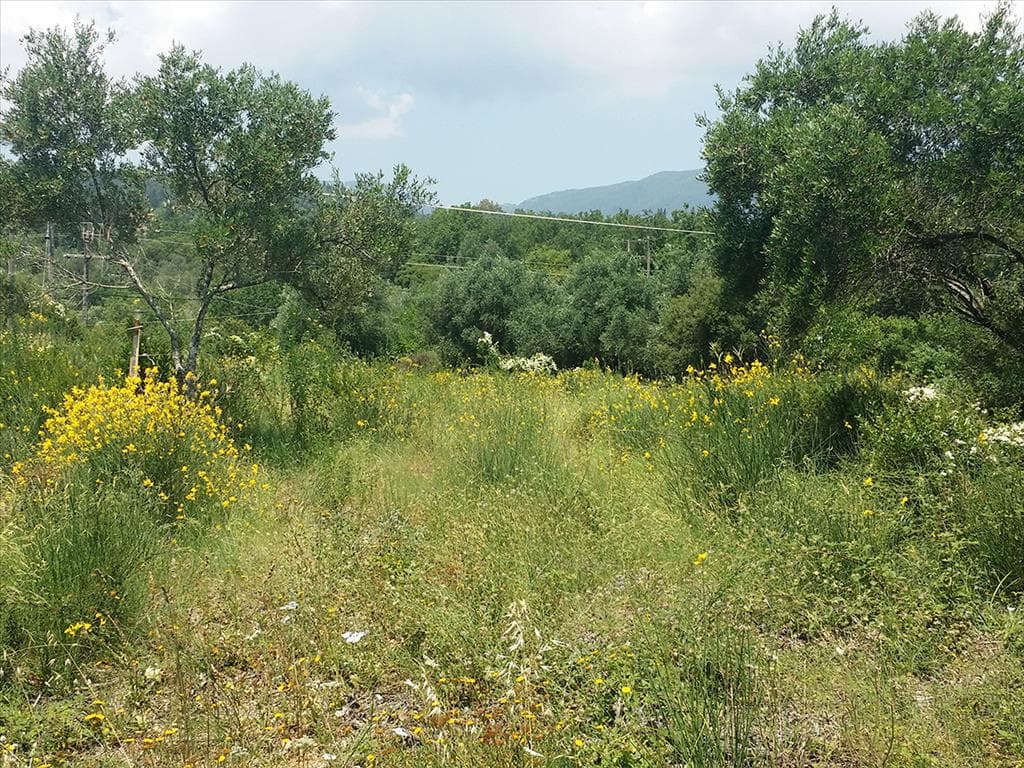 For Sale Land 2770 m² in Corfu