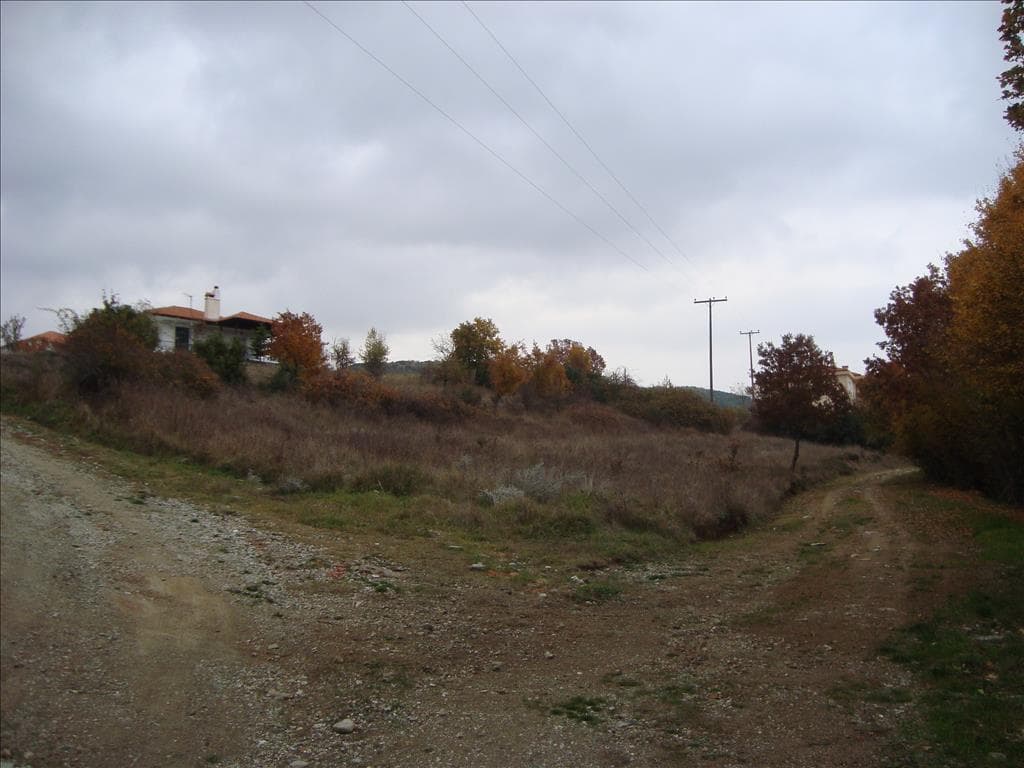 For Sale Land 1320 m² in Chalkidiki