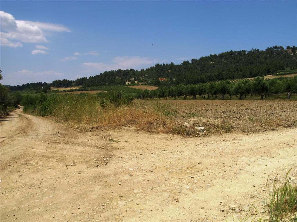 For Sale Land 4385 m² in Kassandra, Chalkidiki