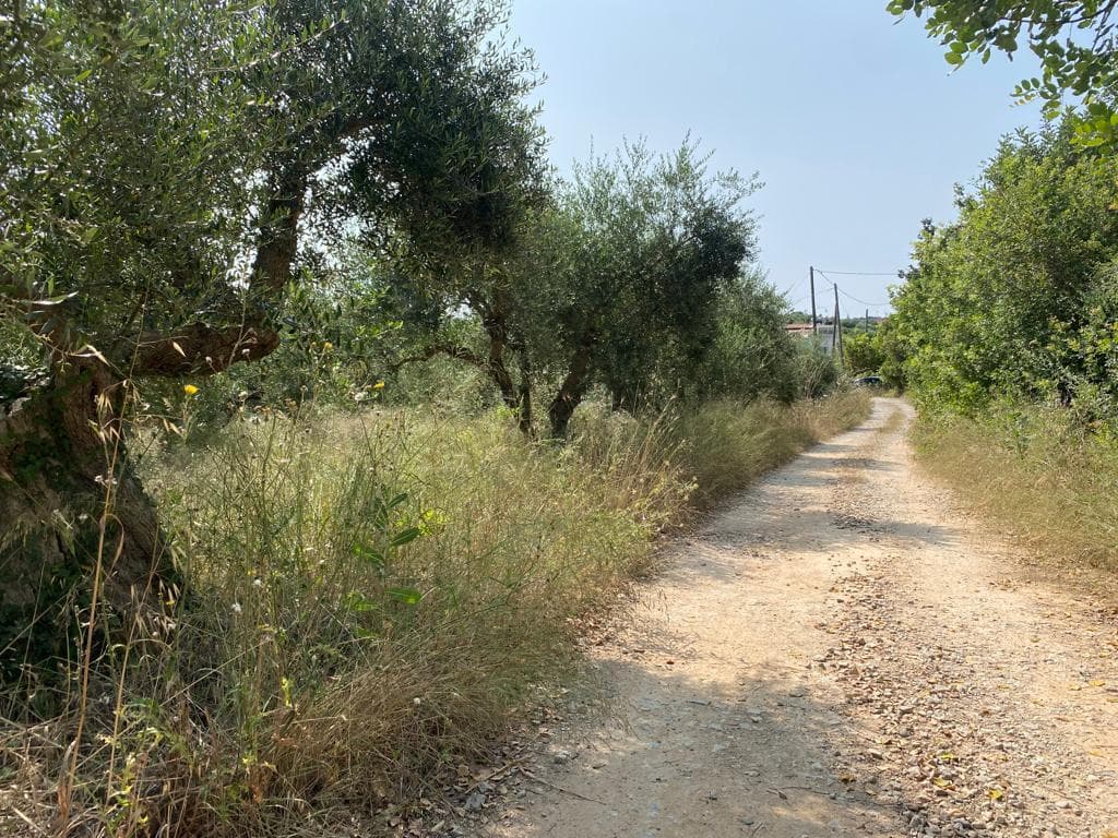 For Sale Land 3092 m² in Crete