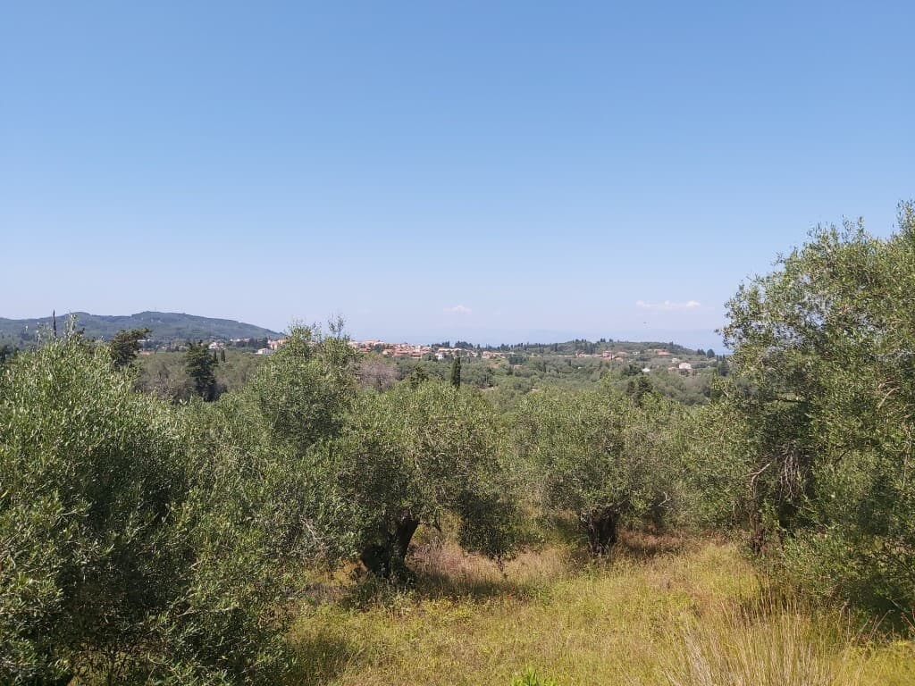 For Sale Land 4800 m² in Corfu