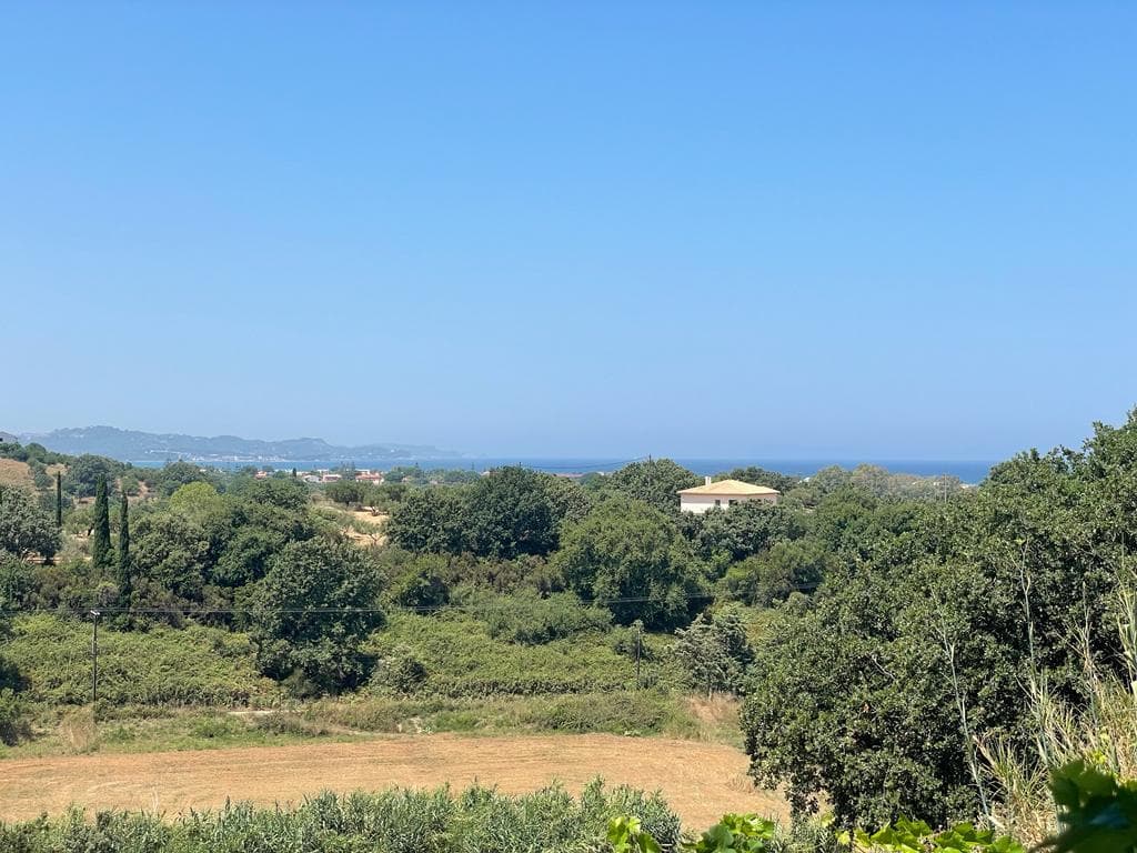 For Sale Land 26159 m² in Corfu