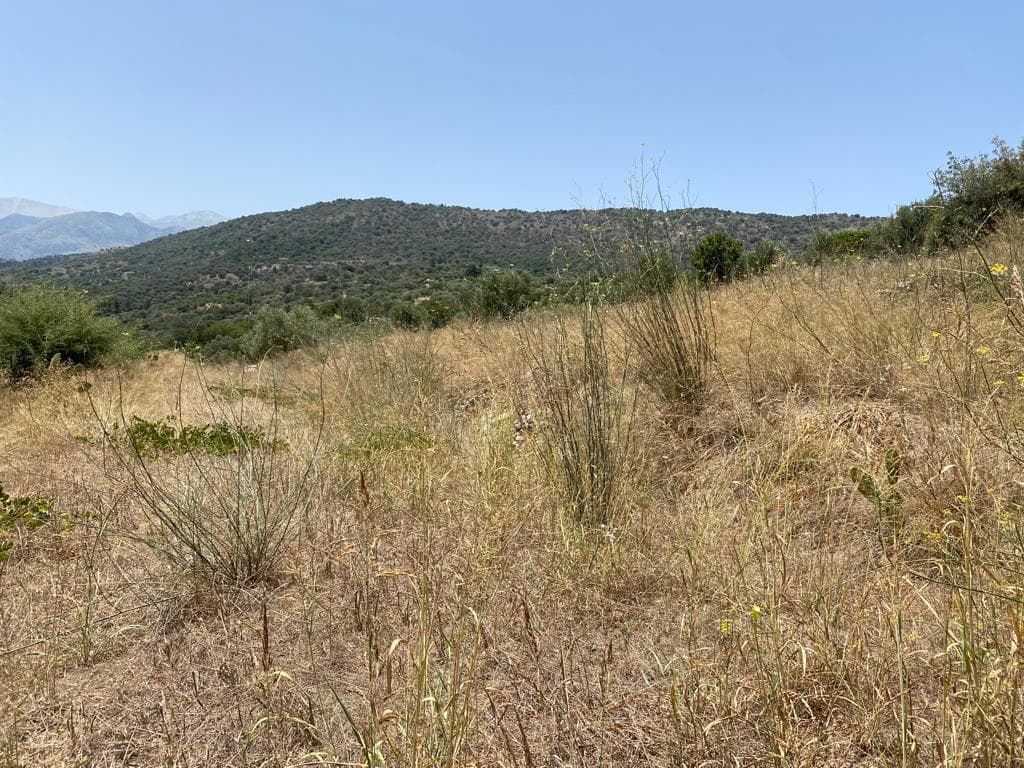 For Sale Land 5335 m² in Crete