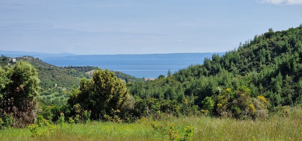 For Sale Land 10000 m² in Kassandra, Chalkidiki