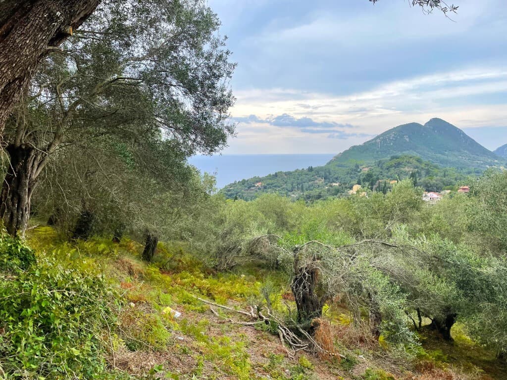 For Sale Land 1202 m² in Corfu