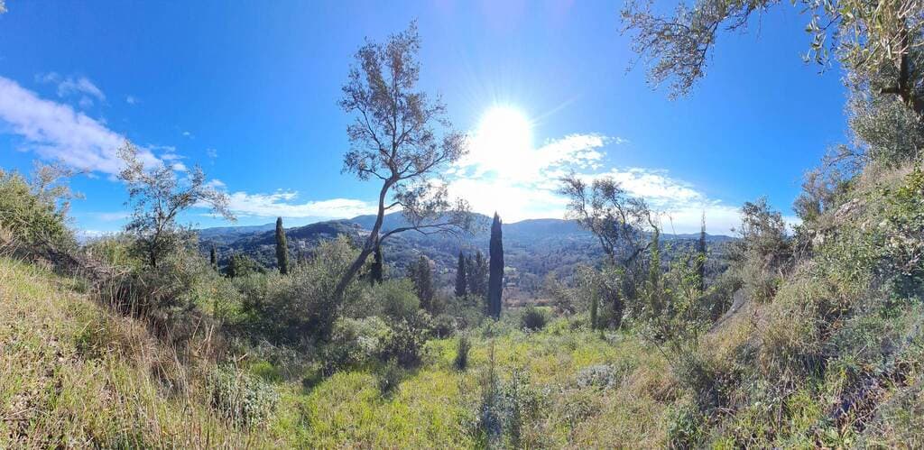 For Sale Land 95095 m² in Corfu
