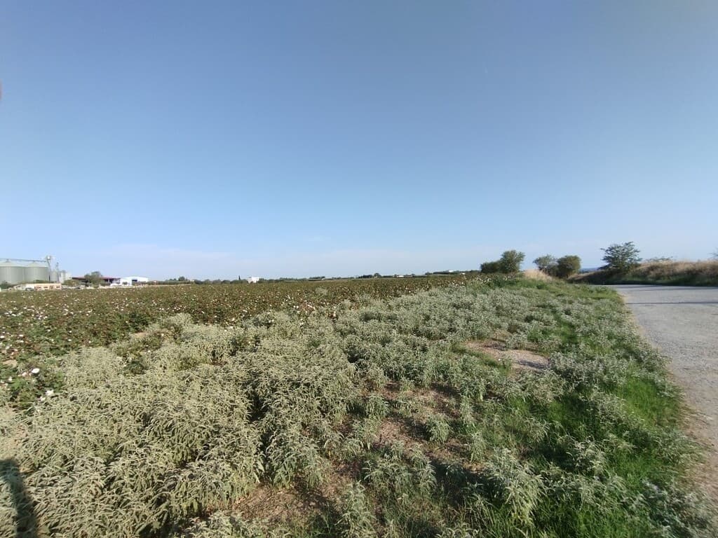 For Sale Land 101000 m² in the suburbs of Thessaloniki