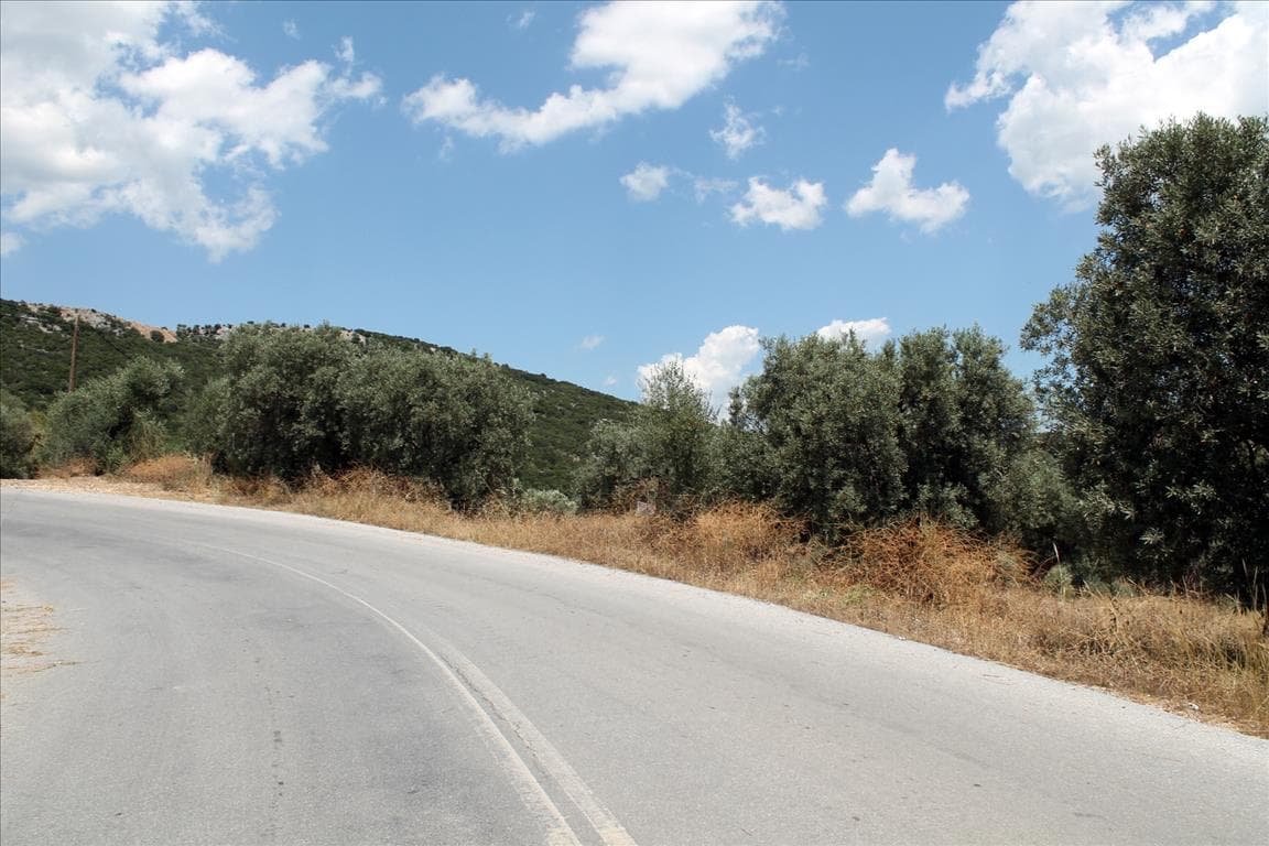 For Sale Land 5568 m² in Athos, Chalkidiki