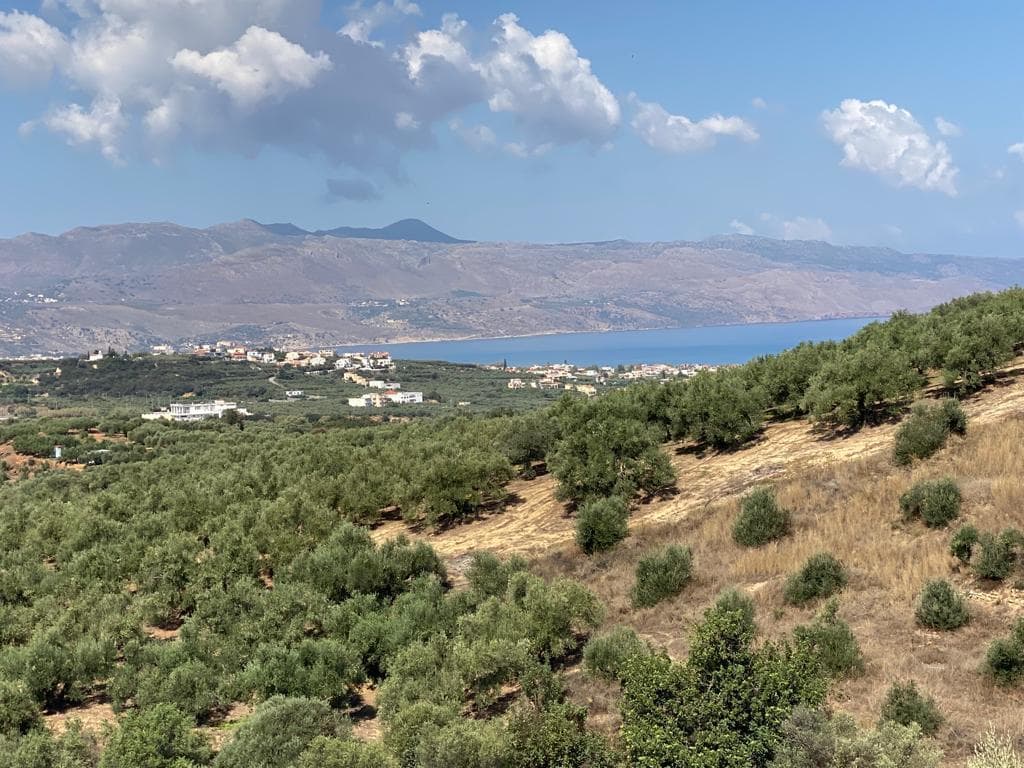 For Sale Land 3732 m² in Crete