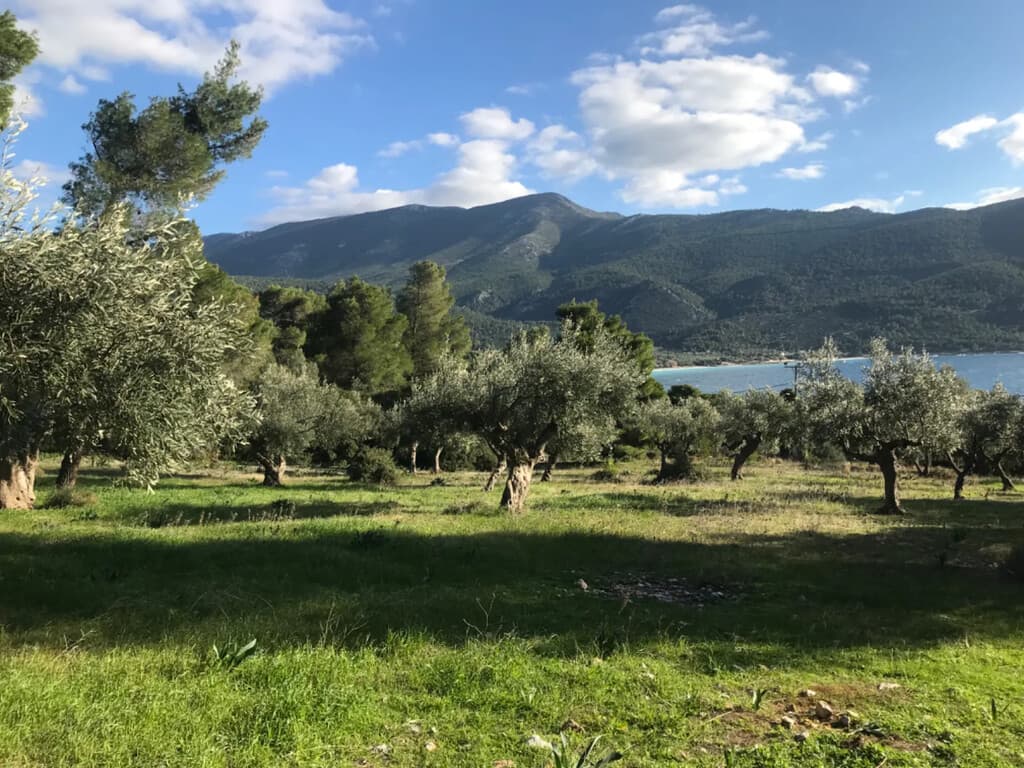 For Sale Land 3660 m² in Attica