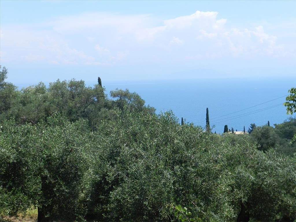 For Sale Land 2000 m² in Corfu