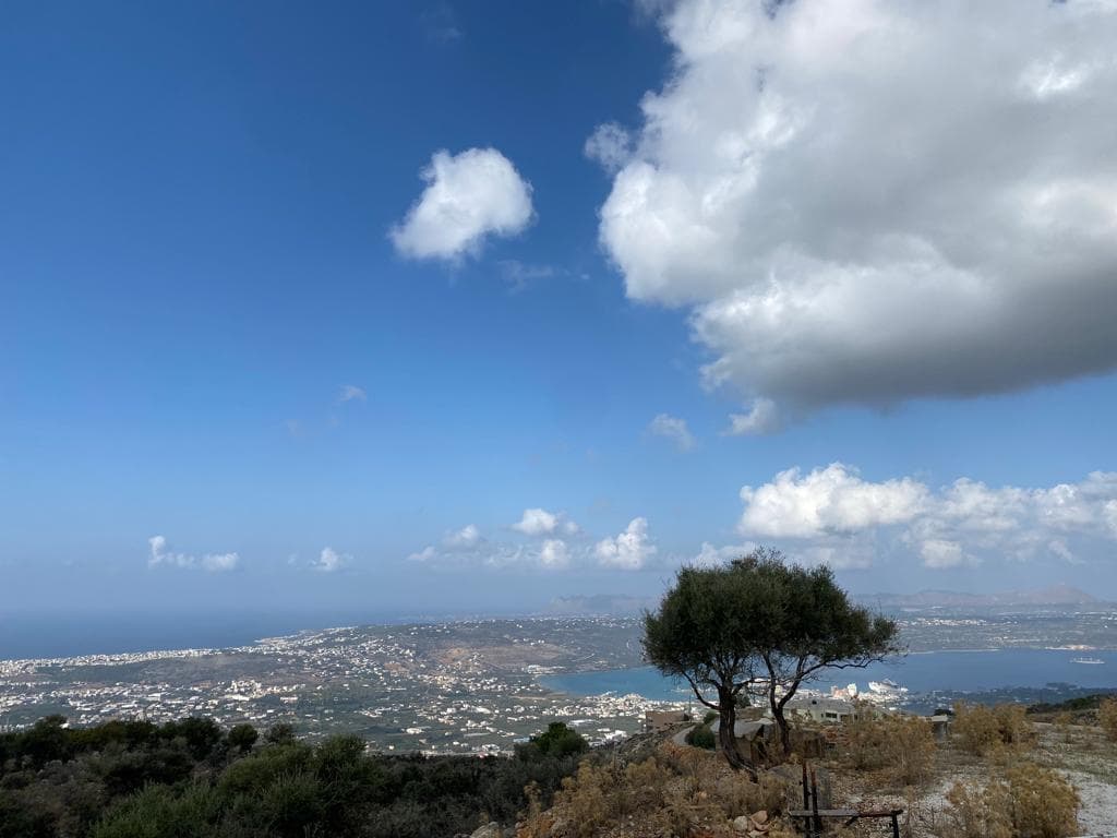 For Sale Land 8000 m² in Crete