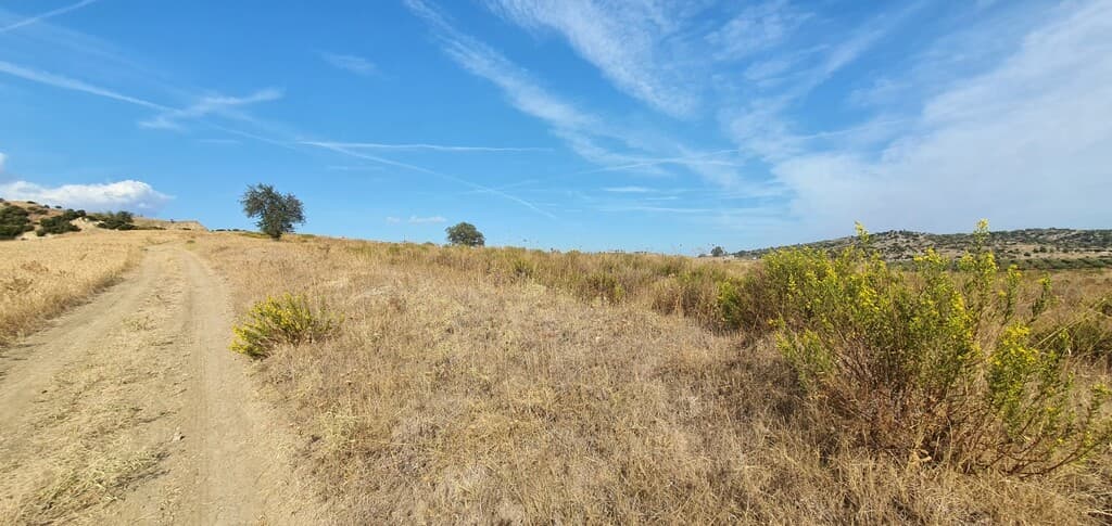 For Sale Land 5200 m² in Sithonia, Chalkidiki