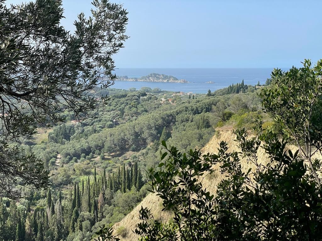 For Sale Land 12000 m² in Corfu