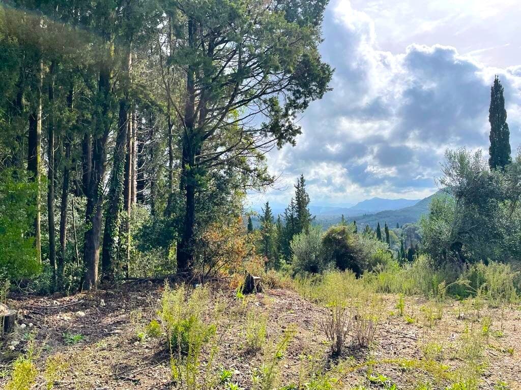 For Sale Land 12000 m² in Corfu