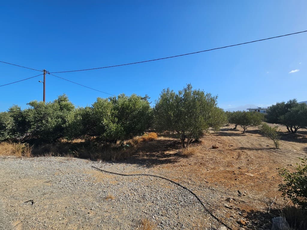 For Sale Land 1940 m² in Crete