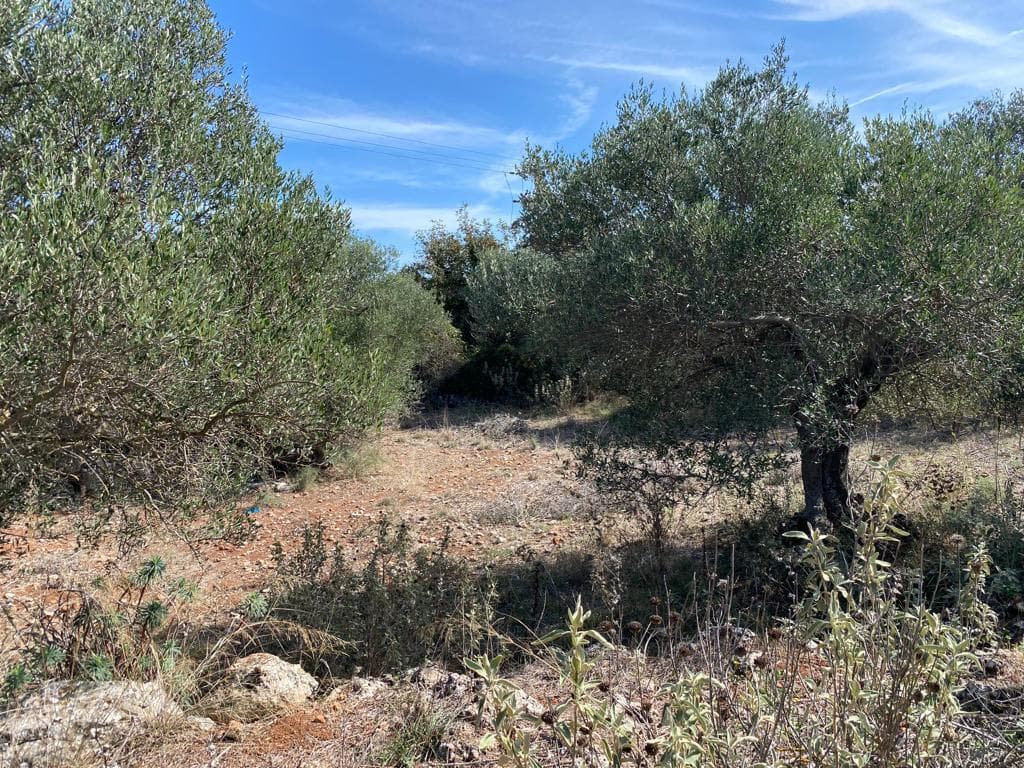 For Sale Land 1670 m² in Crete