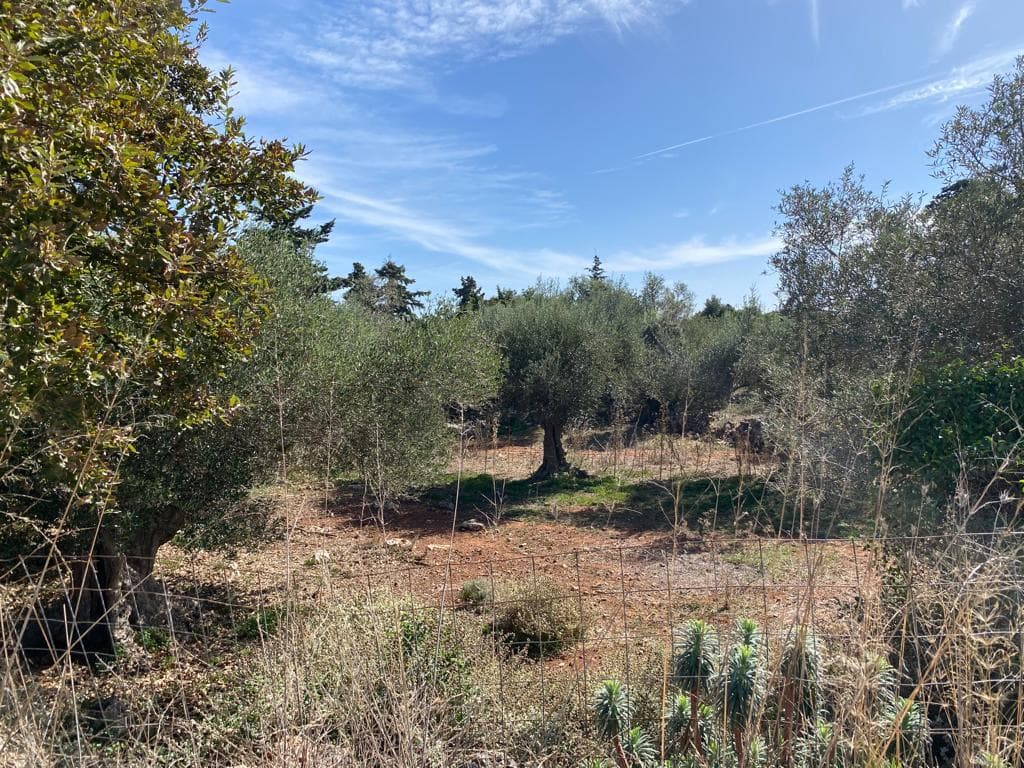 For Sale Land 5687 m² in Crete
