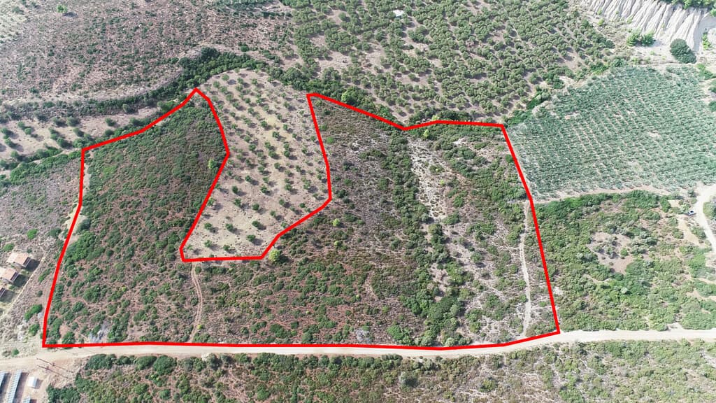For Sale Land 37500 m² in Sithonia, Chalkidiki